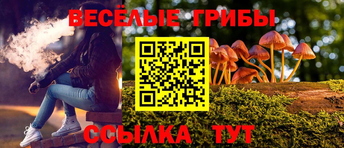 Псилоцибиновые грибы GOLDEN TEACHER Семёнов